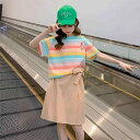 Tシャツ ガールズ キッズ 半袖 子供服 女の子 トップス ボーダー柄 100 110 120 130 140 150 160 夏物 普段着 かわいい イエロー系 ブルー系 幼稚園 保育園 小学校