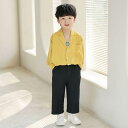 子供用セットアップ 長袖シャツ ズボン スーツ 韓国風 男の子 女の子 薄手 夏 カジュアル フォーマル 80cm 90cm 100cm 110cm 120cm...