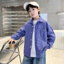 シャツ キッズ 男の子 子供 春秋 長袖 格子柄 綿100% 120cm 130cm 140cm 150cm 160cm 170cm 春秋 春(x2)