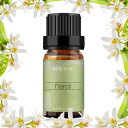 BURIBURI ネロリ エッセンシャルオイル 100% ピュア精油 10ml ナチュラル ディフューザー用 用 アロマ テラピー (ネロリ)(3)