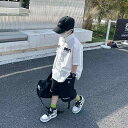 シャツ 子供服 男の子 半袖シャツ ショートパンツ セットアップ 夏 薄手 ストライプ柄 再生繊維 カジュアル 2点セット