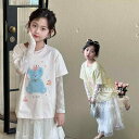 Tシャツ キッズ 女の子 子供服 夏用 長袖 薄手 レース 切り替え 日焼け止め 紫外線対策 通園 通学 ピンク系 イエロー(4)