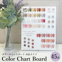 カラーチャート ボード 【 45色タイプ 】カラチャ ジェルネイル カラージェル ディスプレイ 展示 サンプル カラーサンプル アクリルボード 展示ボード スタ...
