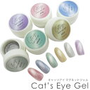 LbcACWF }OlbgWF S6F cat's eye gel X^[MNV[ }Olbg  VA[J[ RlNgWF Connect Gel