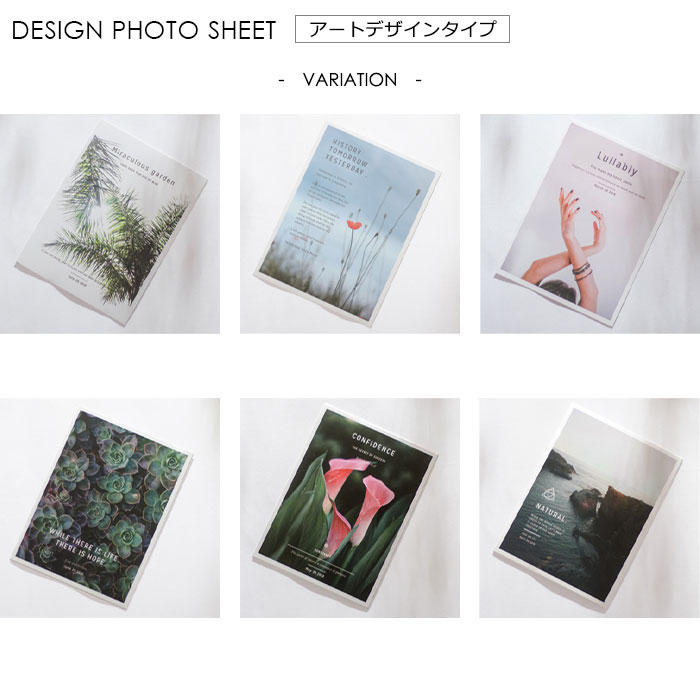 【大特価1380円→100円】ボタニカル フォトデザインシート ポストカード 6枚入り 【メール便可】台紙 背景 アート フラワー 植物 グリーン 韓国 インテリア 北欧 撮影 ディスプレイ ネイル展示 大理石　ウォール　壁紙 アートポスター おしゃれ ポスター　背景