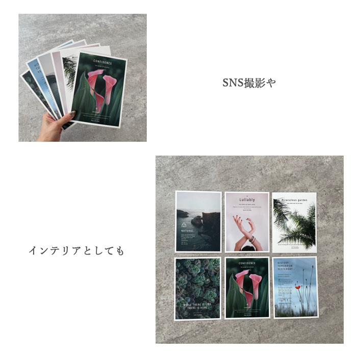 【大特価1380円→100円】ボタニカル フォトデザインシート ポストカード 6枚入り 【メール便可】台紙 背景 アート フラワー 植物 グリーン 韓国 インテリア 北欧 撮影 ディスプレイ ネイル展示 大理石　ウォール　壁紙 アートポスター おしゃれ ポスター　背景