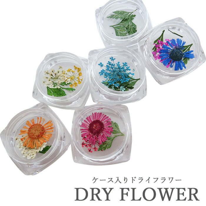 選べる ケース入り ドライフラワー 3枚〜4枚入り 押し花 ネイル 封入素材 押し花セット アクセサリー パーツ【メール便可】レースフラワー