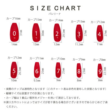 《500枚入り》クリア ネイル チップ【 バレリーナ タイプ 】500枚 セット 透明 ネイルチップ 練習 サンプル サロン ジェルネイル 付け爪 練習用【メール便可】