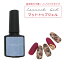 ڥܥȥ륿ס Υ磻ץ  ޥåȥȥå  ޥåȥ ޥå ٥ ٥ ꥬ饹 Ρ磻 Υ磻 8ml ꥢ ͥ ͥȥ ARKNAIL connect gel