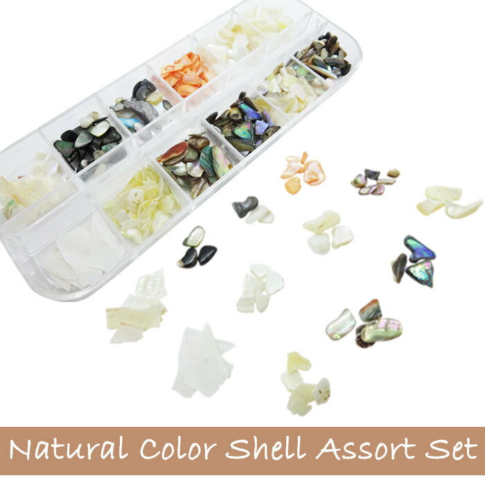 ナチュラル カラー シェル ミックス セット【12種類 ケース入り】1セット【メール便可】天然石 クラッシュ シェルパーツ ネイル シェルシート フレーク ナチ...