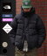 ̵THE NORTH FACE /  Ρե : Alteration Baffs Jacket / 2 : 륿졼Хե㥱å ϥե ѥå ꥵ ʥ GORE-TEX ù ʥ ȥɥ 桼 : ND92360DEAۡWAX