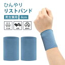 リストバンド 薄手 冷感 汗拭き 汗吸収 8CM夏用 速乾 通気性 ロング ショート カバー傷跡 タトゥーを隠す スポーツ 野球 ランニング ヨガ 筋トレ 夏の日焼け防止対策 男女兼用 2枚セット(ブルー)(4)