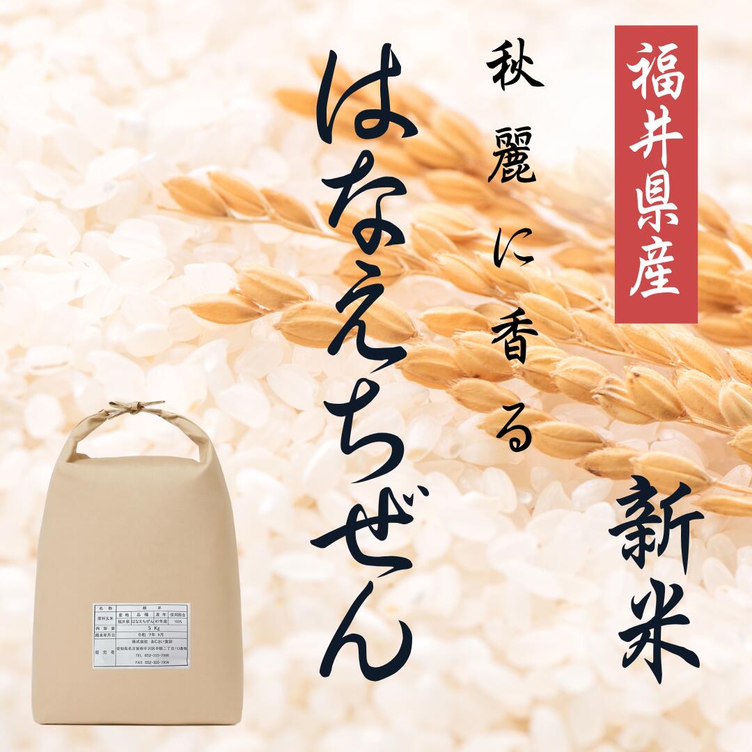 楽天市場】華越前 10kgの通販