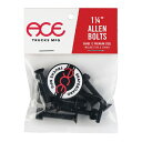 【ビス / スケボー/スケートボード】ACE TRUCKS(エース・トラック) ACE BOLTS ALLEN(六角)1 1/4