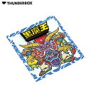 THUNDERBOXiT_[{bNXj/ PINS/sY