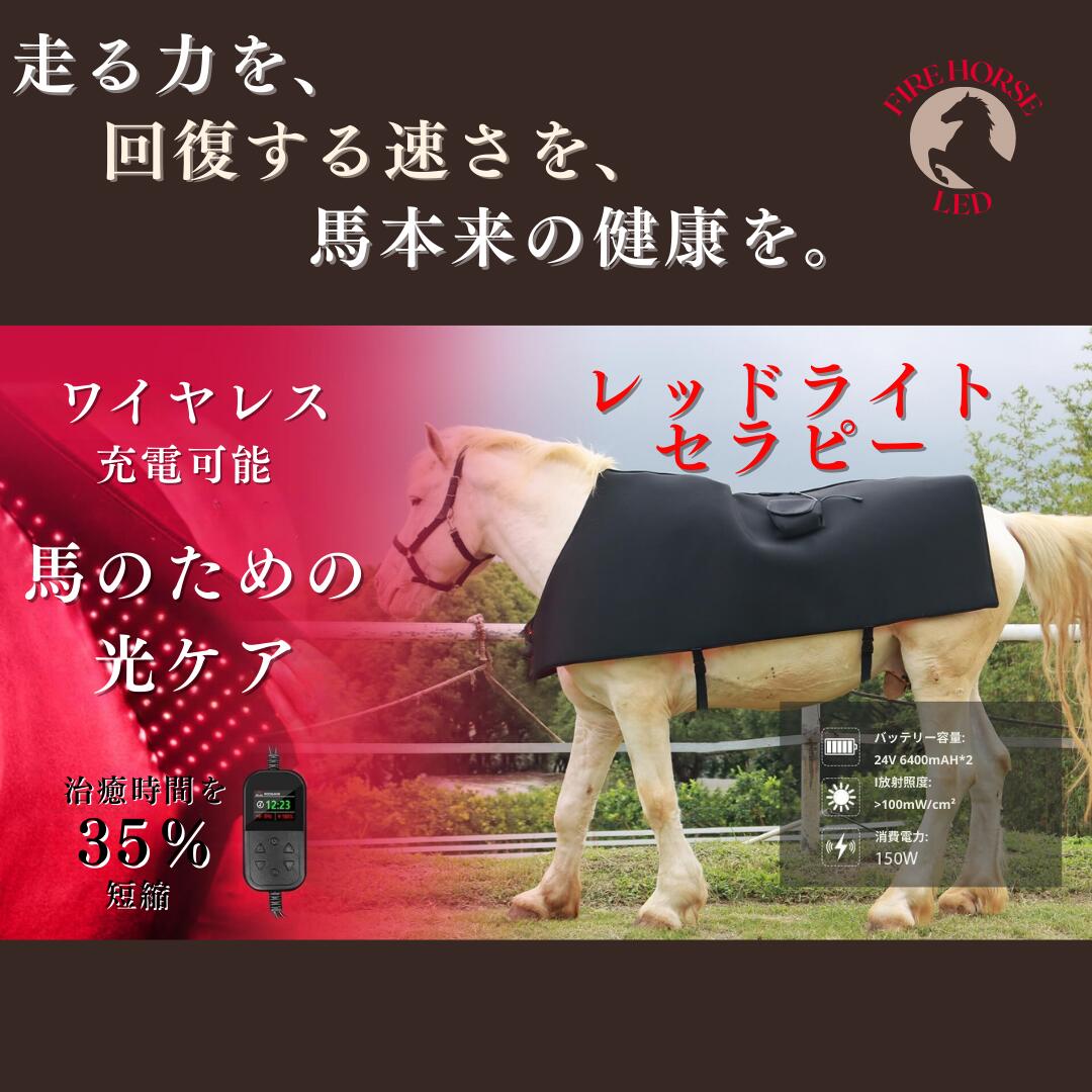 赤色光660nm・近赤外線850nm｜馬用 光ケア・コンディショニング 治療 Red Light therapy レッドライト セラピー 健康 光エステ 関節炎 健康 コラーゲンマシン エイジングケア ヒーライト 光治療 馬専用 競馬 競技馬向け