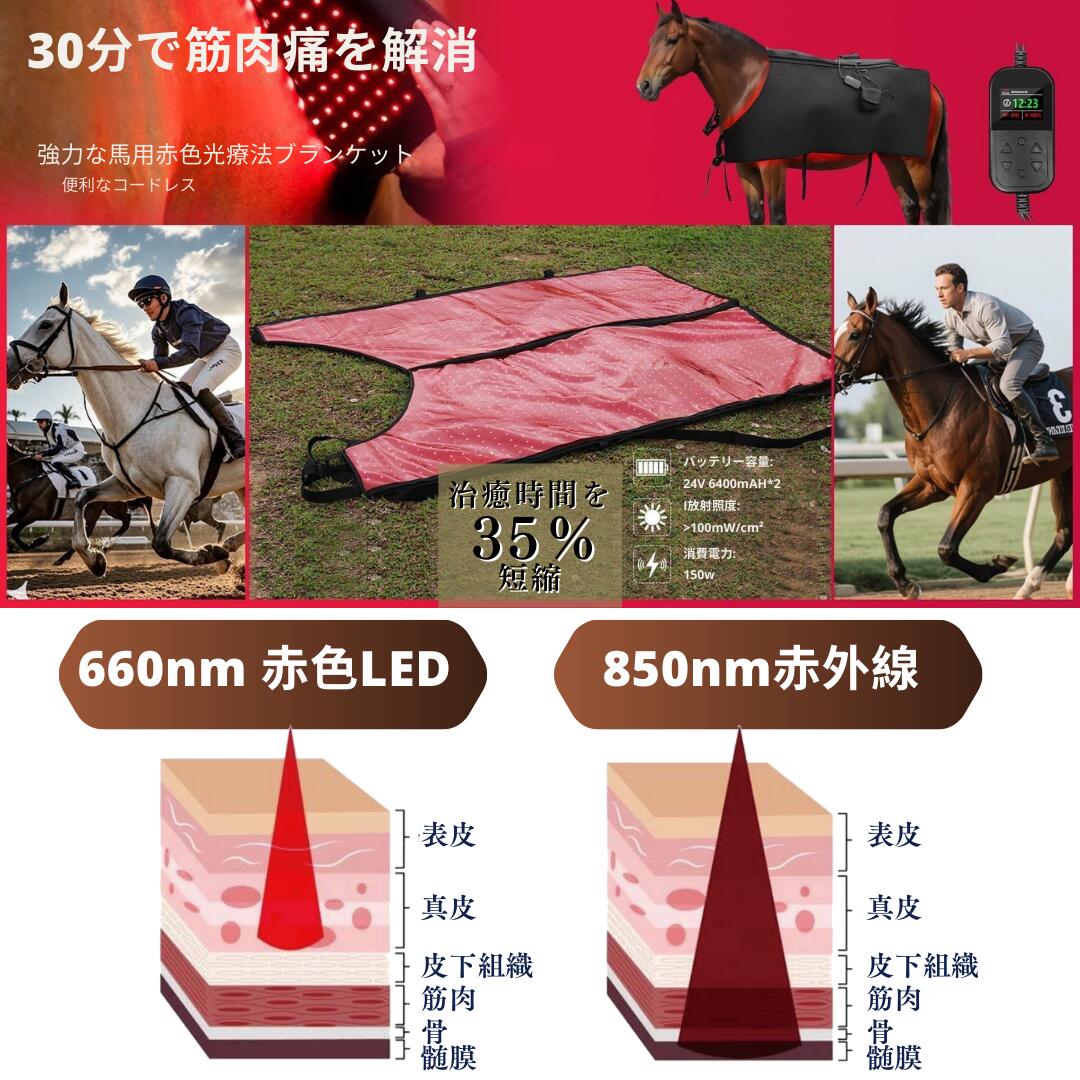 �ֿ���660nm�����ֳ���850nm������ ������������ǥ�����˥� ���� Red Light therapy ��åɥ饤�ȡ�����ԡ� �� �������� ������ꡡ�򹯡����顼����ޥ��� �������󥰥��� �ҡ��饤�� �����š������� ���ϡ������ϸ���