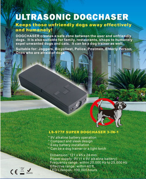 �ѥ�ե� �ɥå�����������