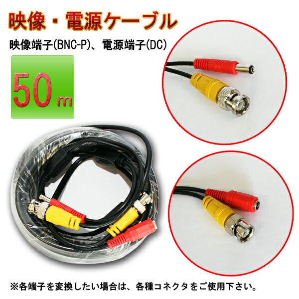 ������ѱ������Ÿ������֥�50m