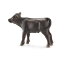 Schleich (シュライヒ) ブラックアンガス(仔) 13768【全商品・全在庫】【正規品】【まとめ買いで送料無料】