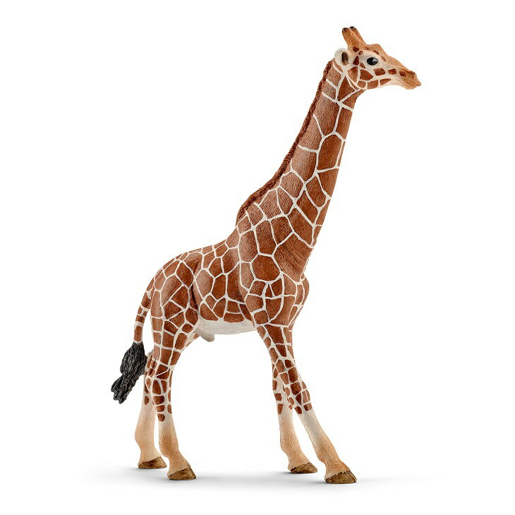 Schleich (シュライヒ) キリン（オス） 14749【全商品・全在庫】【正規品】【まとめ買いで送料無料】