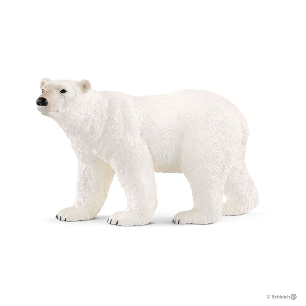 Schleich,(シュライヒ) シロクマ 14800〔19777〕【全商品・全在庫】【正規品】【まとめ買いで送料無料】