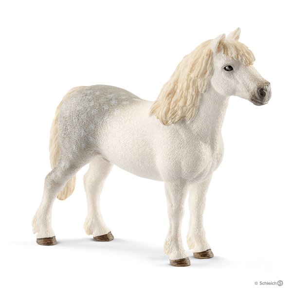 Schleich (シュライヒ) ウェールズポニー（オス）13871【全商品・全在庫】【正規品】【まとめ買いで送料無料】