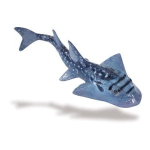 safari (サファリ)シノノメサカタザメ 226329【全商品・全在庫】【正規品】