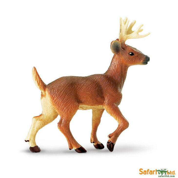 safari (サファリ)オスジカ 291229【全商品・全在庫】【正規品】