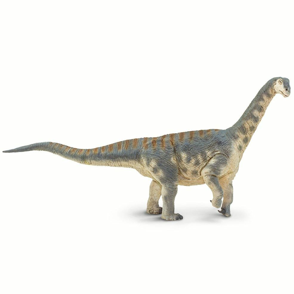 safari (サファリ)WS カマラサウルス 100309
