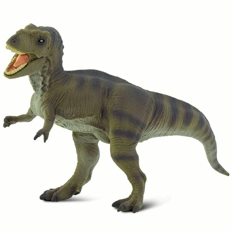 safari (サファリ)WS T－Rex3 100423【全商品・全在庫】【正規品】