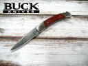 バック 501 BRSFG スクワイア フォールディング ナイフ BUCK Squire knife【送料無料】