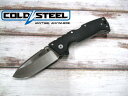 【楽天ランキング1位】コールドスチール 28DD AD-10 S35VN鋼/G-10 ドロップポイント 折りたたみ ナイフ COLD STEEL (サバゲー)