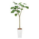 光触媒 観葉植物 インテリア おしゃれ 枯れない 玄関 植物 フェイク 大きい インテリアグリーン ウンベラータ フェイクグリーン リビング 造花 オフィス 消...