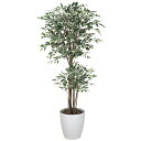 フェイクグリーン イミテーショングリーン おしゃれ 観葉植物 トロピカルベンジャミン斑入り 消臭 人工観葉植物 光触媒 大きい フェイク 大型 植物 グリーン ...