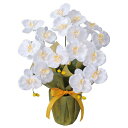 光触媒 胡蝶蘭 花 開店祝い フラワー 造花 植物 インテリア 人工観葉植物 プレゼント 新築祝い 水やり不要 リビング フラワーギフト 光触媒造花 ミディ胡蝶...