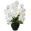 光触媒 胡蝶蘭 コチョウラン 人工観葉植物 造花 花 光触媒造花 植物 母の日 アートフラワー インテリア 消臭 オシャレ アレンジメントフラワー 胡蝶蘭セリー...