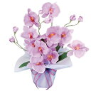 観葉植物 花 造花 アレンジメント フラワー フラワーアレンジメント イミテーショングリーン アーティフィシャルフラワー 光触媒 おしゃれ 母の日 アレンジメン...