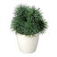 観葉植物 フェイクグリーン 消臭 インテリア グリーン 植物 インテリアグリーン 光触媒 開店祝い リビング 人工観葉植物 フェイク おしゃれ 敬老の日 造花 人工植物 アザミプラント 高さ33cm テーブルタイプ アートグリーン 新築祝い 引越し祝い 贈り物 人工観葉樹 人工樹