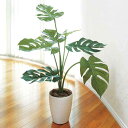 光触媒 植物 観葉植物 インテリアグリーン 枯れない フロアタイプ 高さ75cm フェイク モンステラ 人工観葉植物 人工植物 フェイクグリーン インテリア ミ...