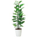 観葉植物 フェイクグリーン インテリアグリーン インテリア フェイク アートグリーン 開店祝い 光触媒 大きい 敬老の日 おしゃれ 植物 大型 イミテーショング...