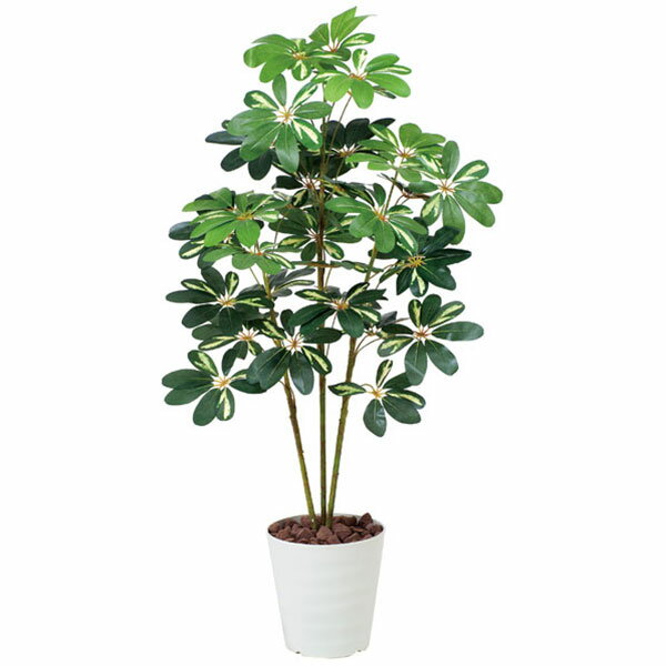 観葉植物 グリーン インテリアグリーン 枯れない おしゃれ フェイクグリーン リビング 人工 開店祝い インテリア アートグリーン 植物 光触媒 造花 人工観葉植物 フェイク 人工植物 消臭 光触媒加工 新築祝い アジアン カフェ 防菌 防汚 カポック斑入り 1.2 お手入れ不要