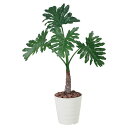 観葉植物 グリーン フェイクグリーン 開店祝い 光触媒 造花 イミテーショングリーン インテリアグリーン 人工 インテリア おしゃれ 植物 アートグリーン 枯れ...
