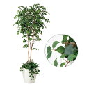 インテリアグリーン 観葉植物 インテリア 人工観葉植物 植物 フェイクグリーン 大きい 開店祝い フェイク 光触媒 おしゃれ リビング 大型 植栽付き 枯れない...