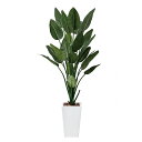 フェイクグリーン 観葉植物 リビング ストレチア 枯れない 大型 大きい 光触媒 インテリアグリーン おしゃれ 造花 人工 フェイク グリーン 人工観葉植物 イ...
