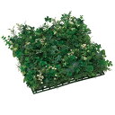観葉植物 フェイクグリーン ミニ イミテーショングリーン 枯れない 消臭 水やり不要 壁掛け 光触媒 抗菌 おしゃれ 壁面 植物 インテリアグリーン フェイク ...