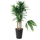 光触媒 幸福の木 造花 人工観葉植物 枯れない 観葉植物 消臭 ドラセナ フェイクグリーン 大きい おしゃれ インテリアグリーン アートグリーン インテリア 植...