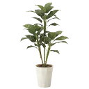 光触媒 観葉植物 インテリアグリーン オフィス カフェ 鉢 フェイクグリ−ン リビング フェイク フェイクグリーン 消臭 ロビー 玄関 エントランス...