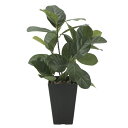 光触媒 人工観葉植物 観葉植物 リビング グリーン フェイクグリーン フェイクグリ−ン カフェ 消臭 フェイク ロビー エントランス オフィス 玄関...