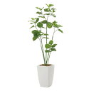 光触媒 人工観葉植物 インテリアグリーン 人工 おしゃれ 造花 大きい 人工植物 インテリア フェイクグリーン 観葉植物 グリーン フェイク 植物 消臭 大型 ...